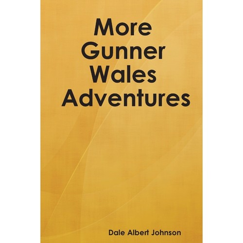 预订，预计下单后2-3周左右发货！