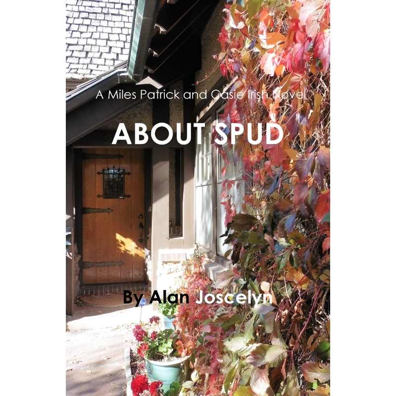 预订，预计下单后2-3周左右发货！