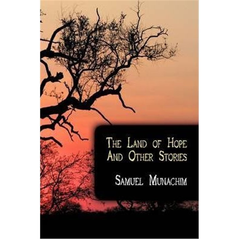 预订，预计下单后3-4周左右发货！