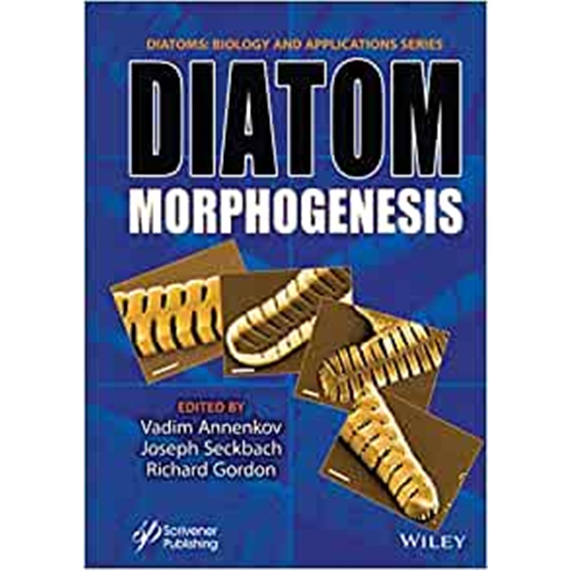 预订，预计下单后2-3周左右发货！