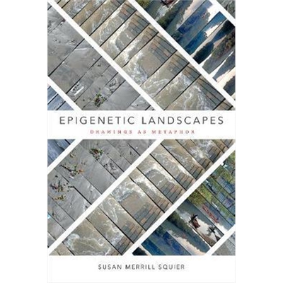 按需印刷不退不换图书Epigenetic Landscapes:Drawings as Metaphor[9780822368724]