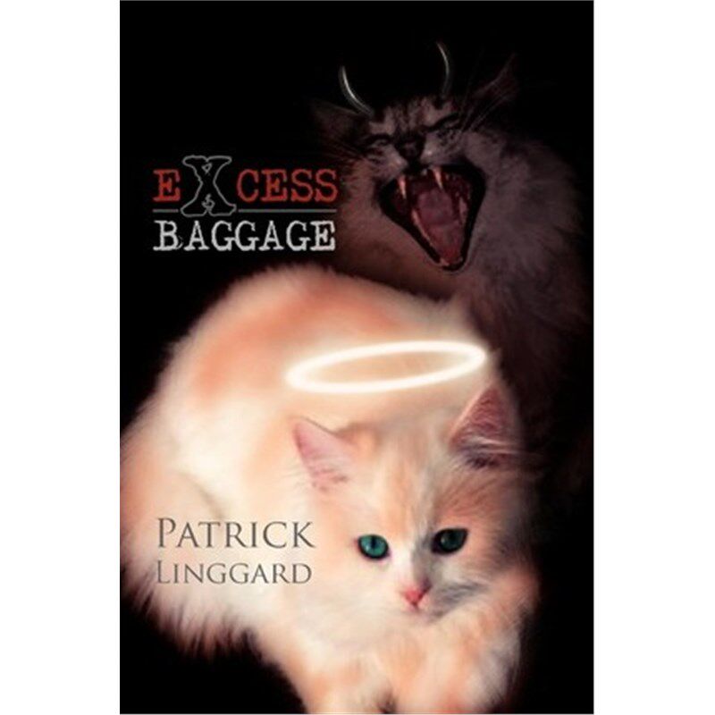 按需印刷不退不换Excess Baggage[9781450062329]