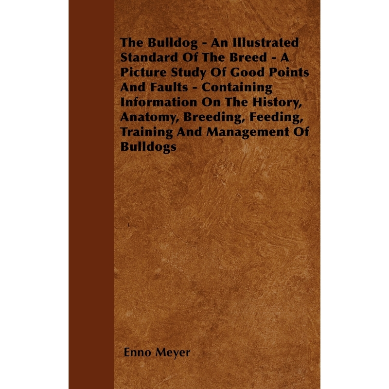 预订，预计下单后2-3周左右发货！