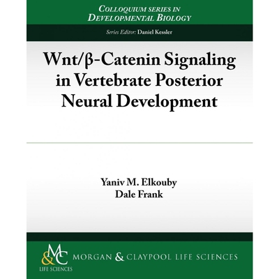 按需印刷不退不换Wnt/ -Catenin Signaling in Vertebrate Posterior Neural Development[9781615040544]