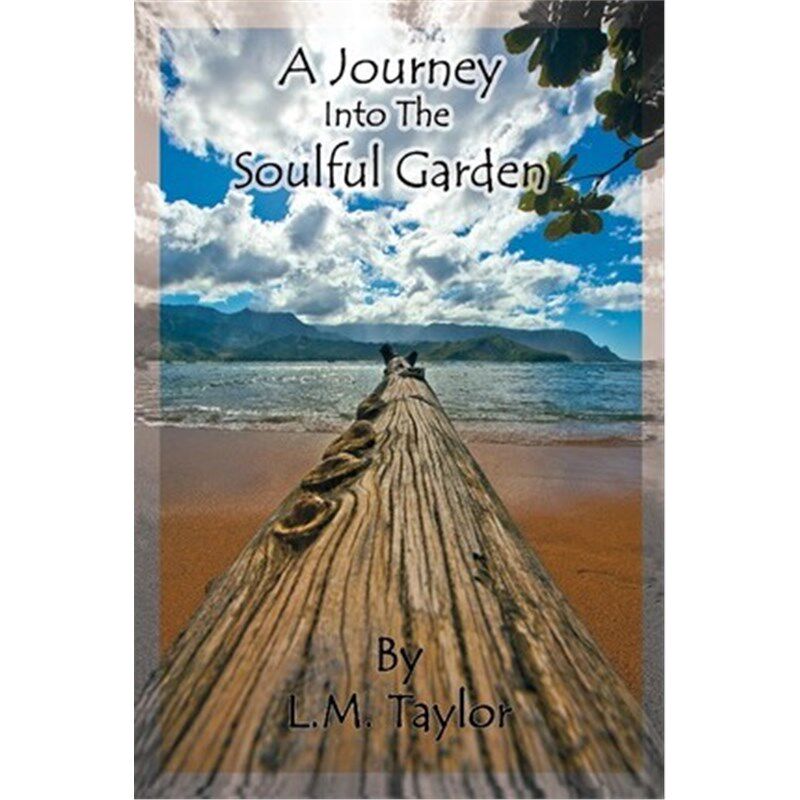 预订，预计下单后3-4周左右发货！