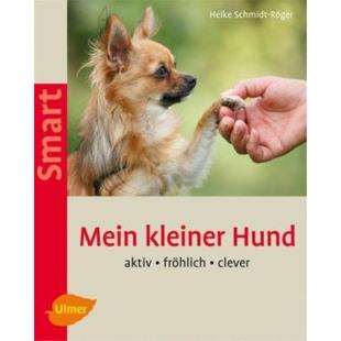 kleiner Mein Hund Aktiv clever 预订 fröhlich 德语