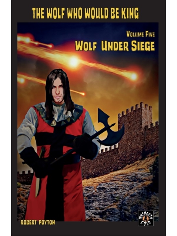 预订，预计下单后4-6周左右发货