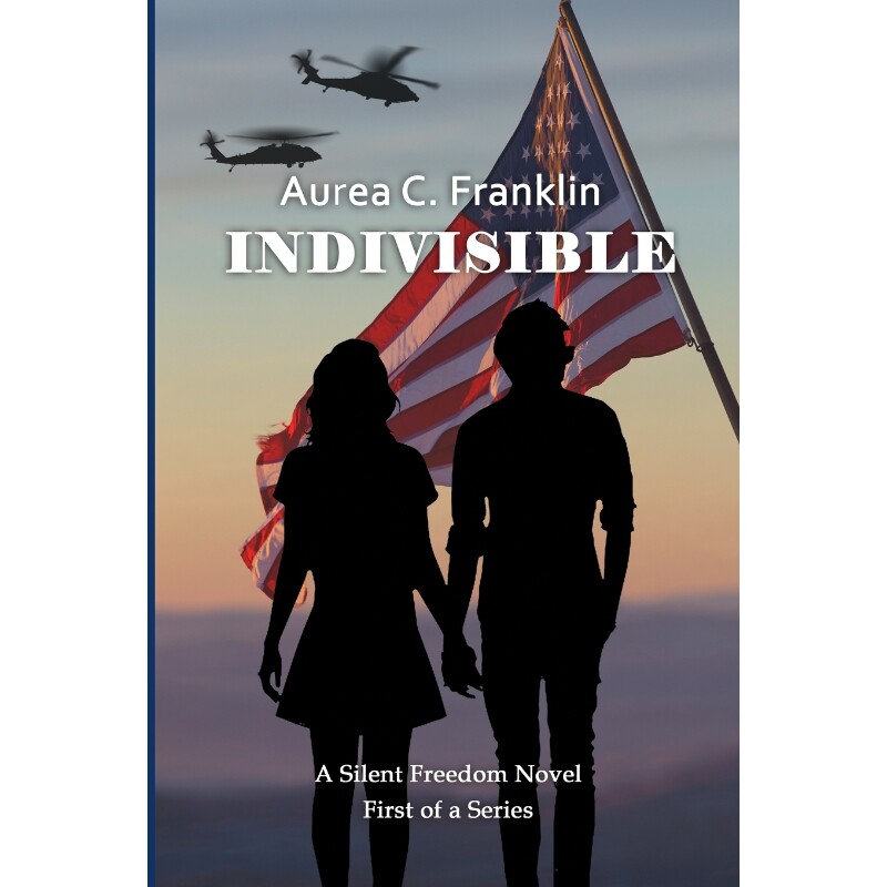 按需印刷不退不换Indivisible[9781737508649]