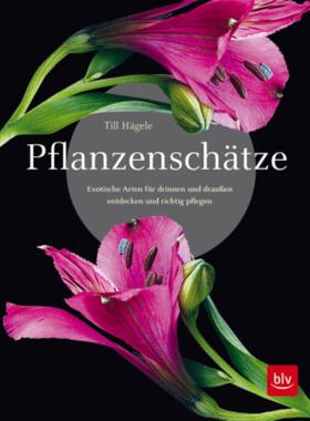预订【德语】 Pflanzenschätze:Exotische Arten für drinnen und draußen entdecken und ric