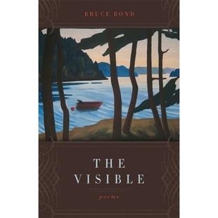 9780807142684 按需印刷The Visible