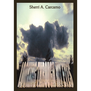 按需印刷Looking Through My Eyes[9781410721419]