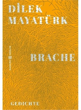 预订【德语】Brache[9783446267862]