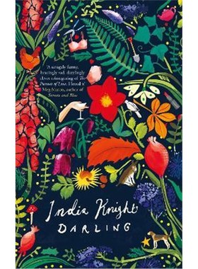 预订Darling:A razor-sharp, gloriously funny retelling of Nancy Mitford's The Pursuit of Love