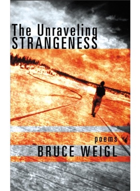 预售诗歌 The Unraveling Strangeness Poems