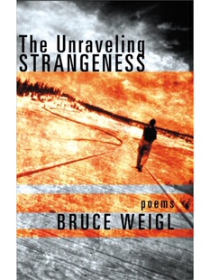 预售诗歌 The Unraveling Strangeness Poems