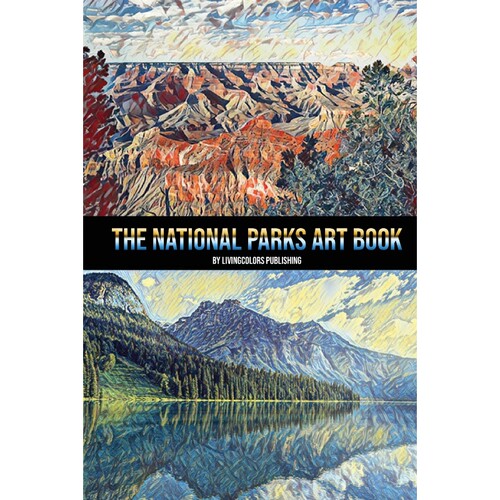 预订，预计下单后2-3周左右发货！