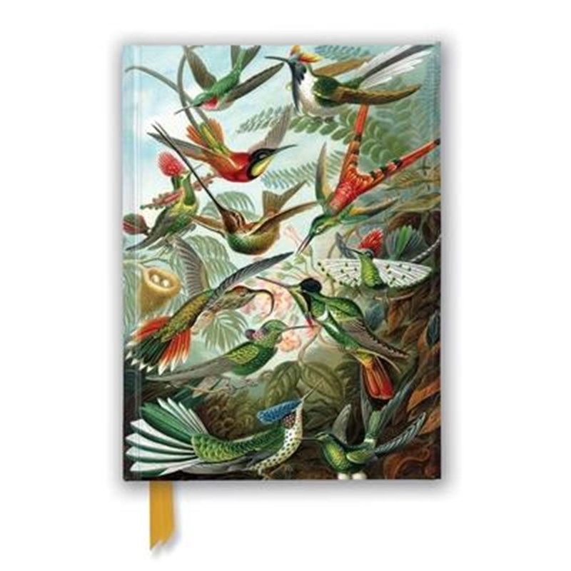预订Ernst Haeckel: Hummingbirds (Foiled Journal) 笔记本
