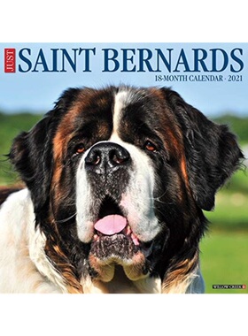 预订不退不换Just Saint Bernards 2021 Wall Calendar (Dog Breed Calendar)