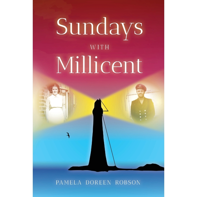 预订，预计下单后2-3周左右发货！