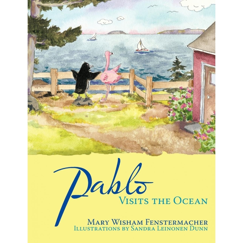 预订，预计下单后2-3周左右发货！