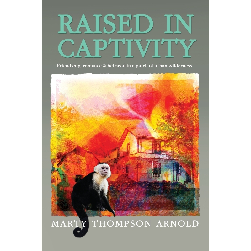 预订，预计下单后2-3周左右发货！