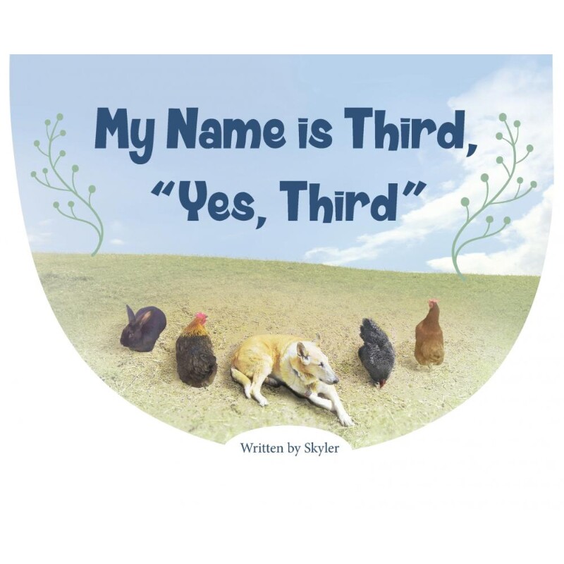 按需印刷不退不换My Name is Third, 