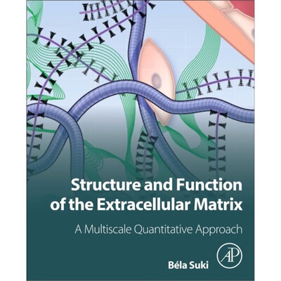 预订不退不换Structure and Function of the Extracellular Matrix[9780128197165]