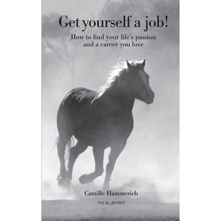 9788743003557 按需印刷Get job yourself