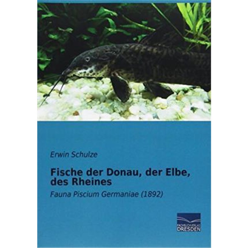 预订，预计下单后3-6周左右发货！
