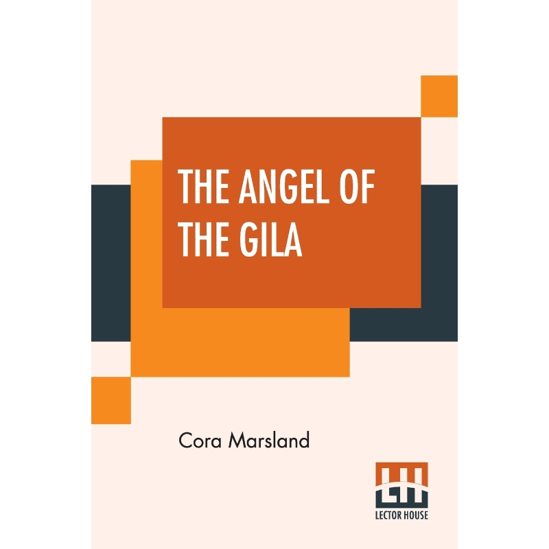 按需印刷The Angel Of The Gila[9789390215027] 书籍/杂志/报纸 文学小说类原版书 原图主图