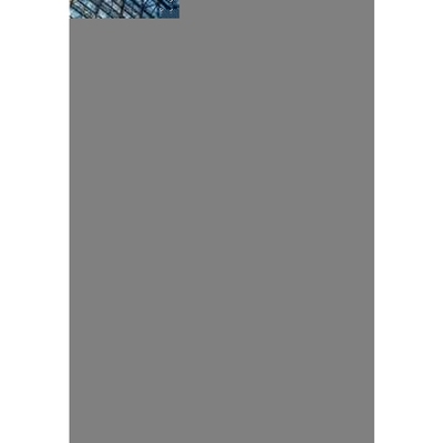 按需印刷不退不换Automated Construction of XSL-Templates[9783639001945]