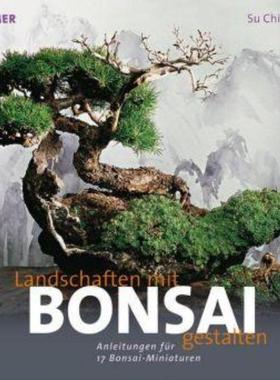 预订【德语】 Landschaften mit Bonsai gestalten:Anleitungen für 17 Bonsai-Miniaturen