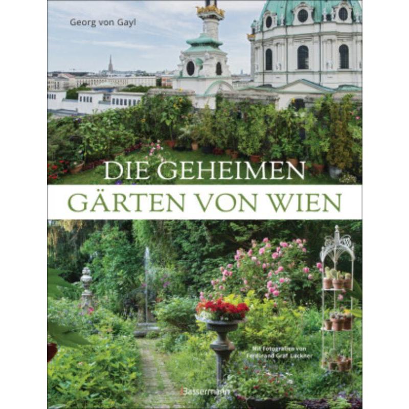 预订，预计下单后3-6周左右发货！