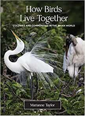 预订How Birds Live Together:Colonies and Communities in the Avian World