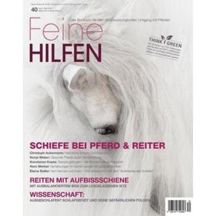 bei Schiefe Pferd 预订 Reiter 德语