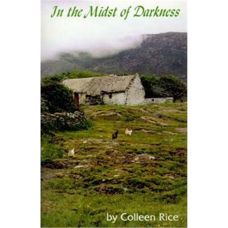 按需印刷In the Midst of Darkness[9780595159062]