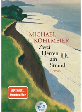 预订【德语】Zwei Herren am Strand[9783423254458]