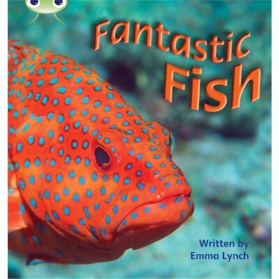 预订Bug Club Phonics Non Fiction Year 1 Phase 4 Set 12 Fantastic Fish[9781408260708]