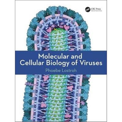 按需印刷不退不换图书Molecular and Cellular Biology of Viruses[9780815345237]