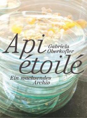 预订【德语】 Gabriela Oberkofler: Api étoile - ein wachsendes Archiv:Katalog zur Ausstellung in der Villa Merkel Galeri