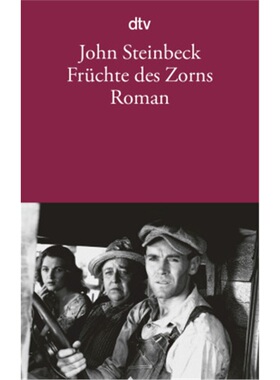 预订【德语】Fruchte des Zorns[9783423104746]