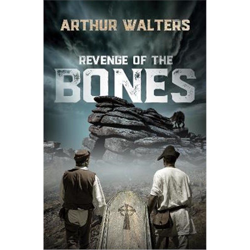 预订，预计下单后2-3周左右发货！