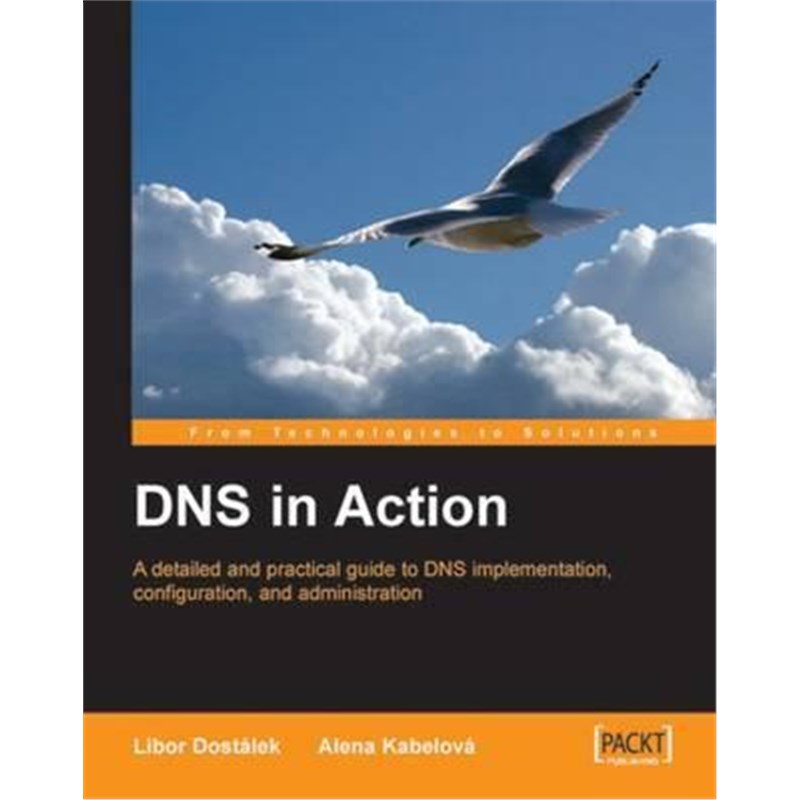 按需印刷不退不换DNS in Action[9781904811787]