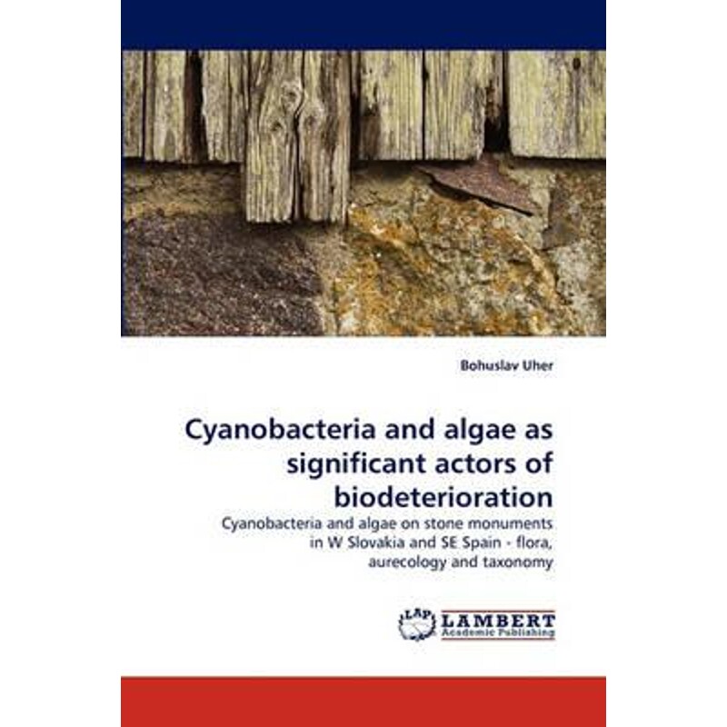 预订，预计下单后2-3周左右发货！