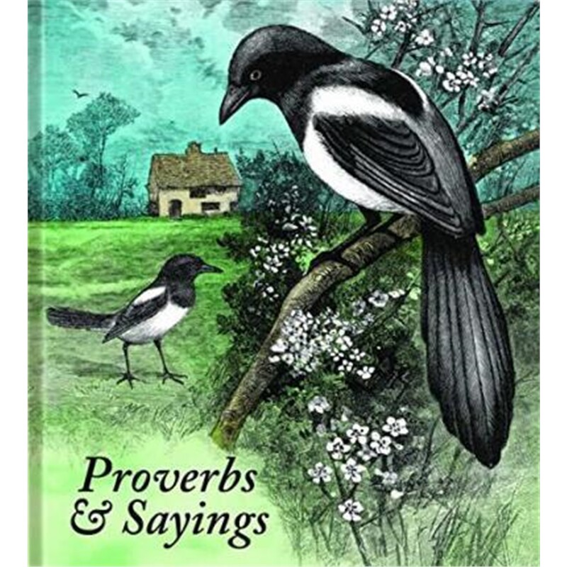 预订图书，下单后3-4周发货！