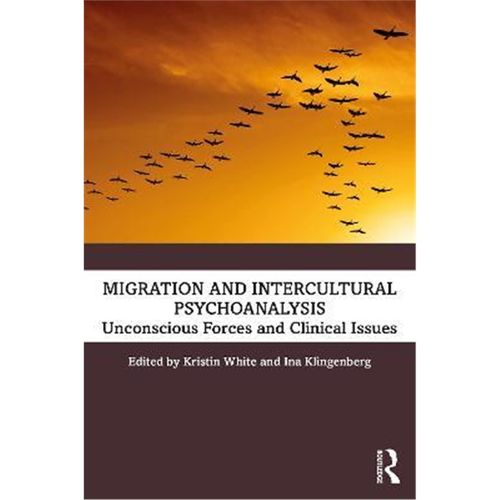 预订，预计下单后3-4周左右发货！