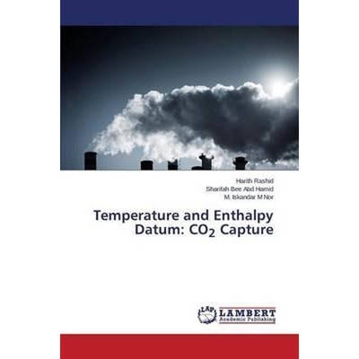 按需印刷Temperature and Enthalpy Datum[9783659386411]