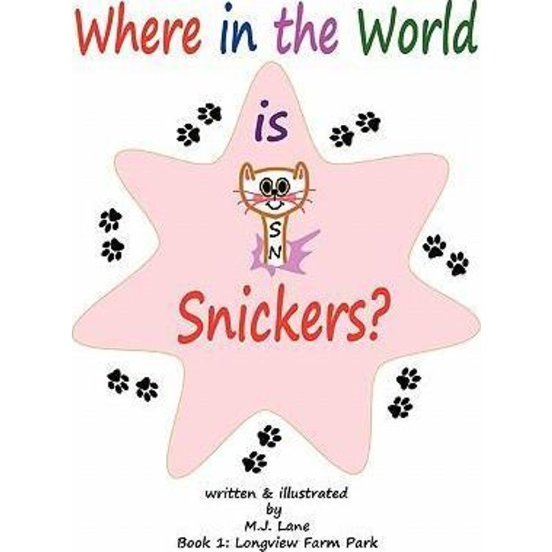 预订，预计下单后2-3周左右发货！