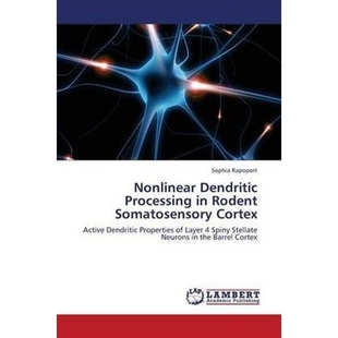 Somatosensory Rodent Processing Cortex 按需印刷Nonlinear 9783659411878 Dendritic