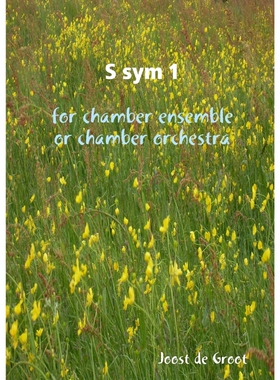 按需印刷不退不换S sym 1 for chamber ensemble or chamber orchestra[9789078808183]